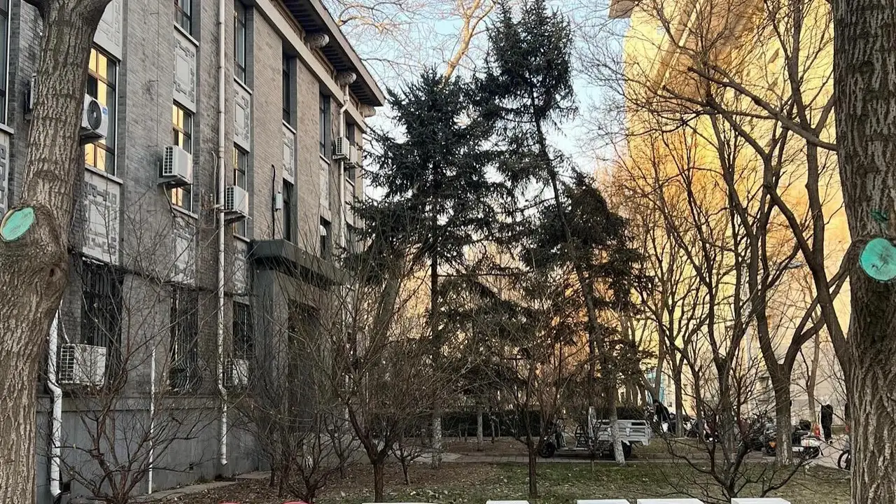 Пекинский педагогический университет — корпуса и аллеи кампуса