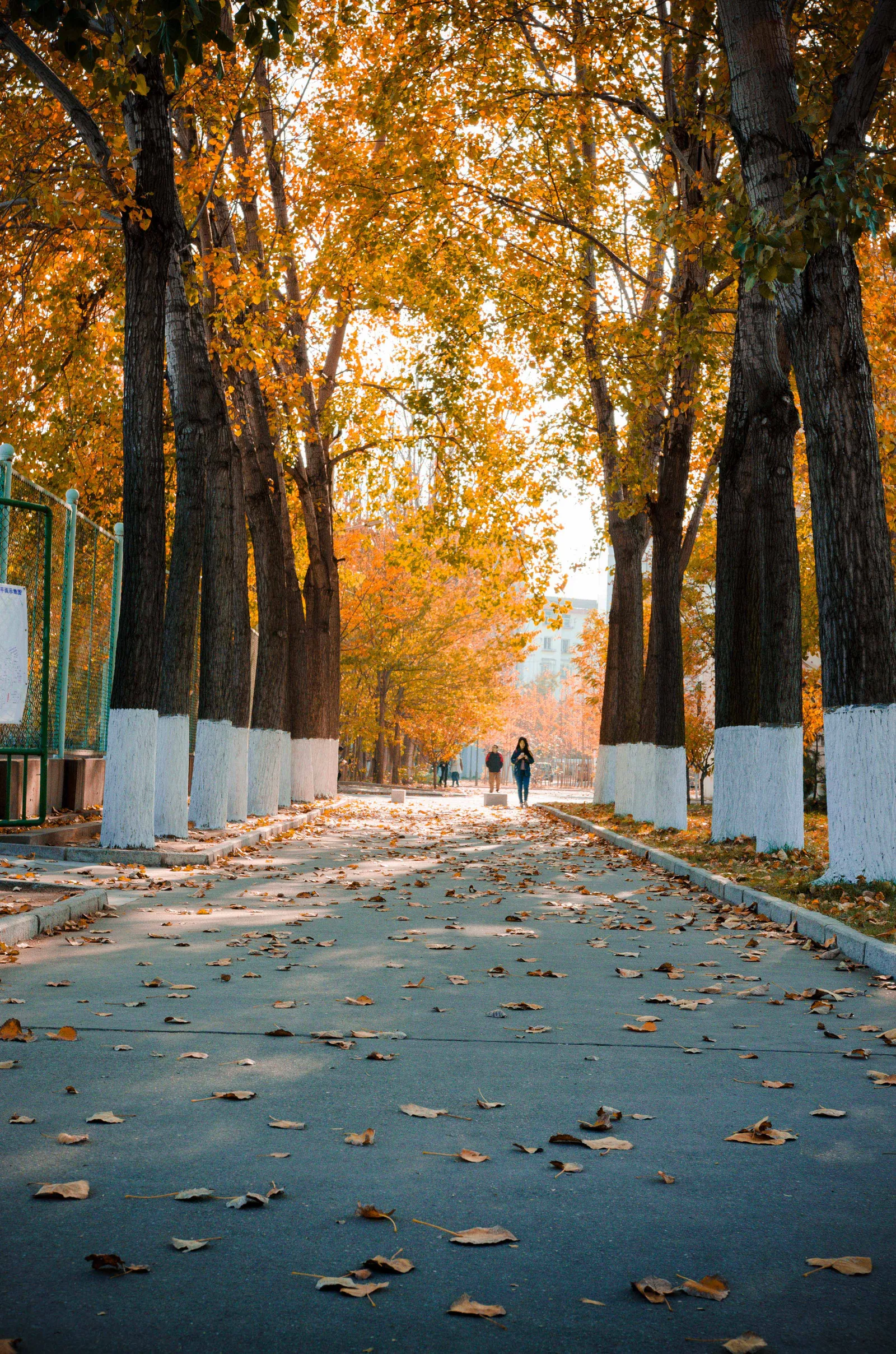 Харбинский технологический институт, Вэйхай — фото 3