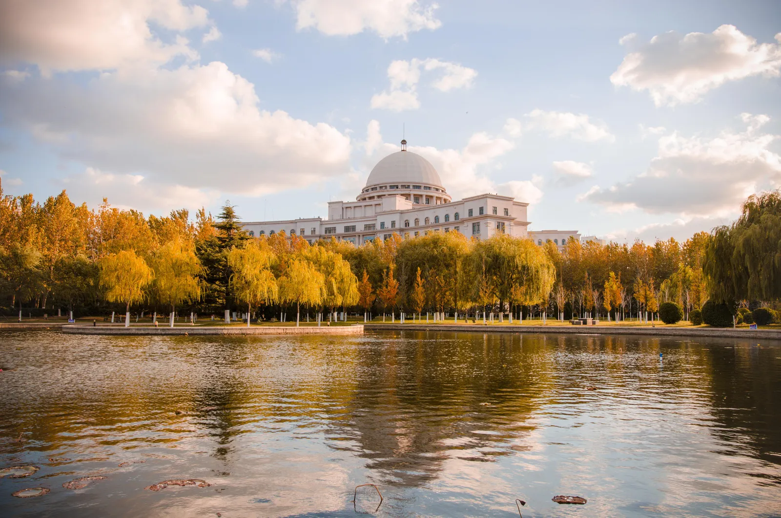 Харбинский технологический институт, Вэйхай — фото 5