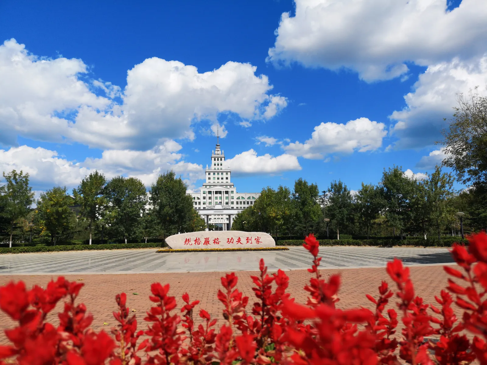 Харбинский технологический институт, Вэйхай — фото 17