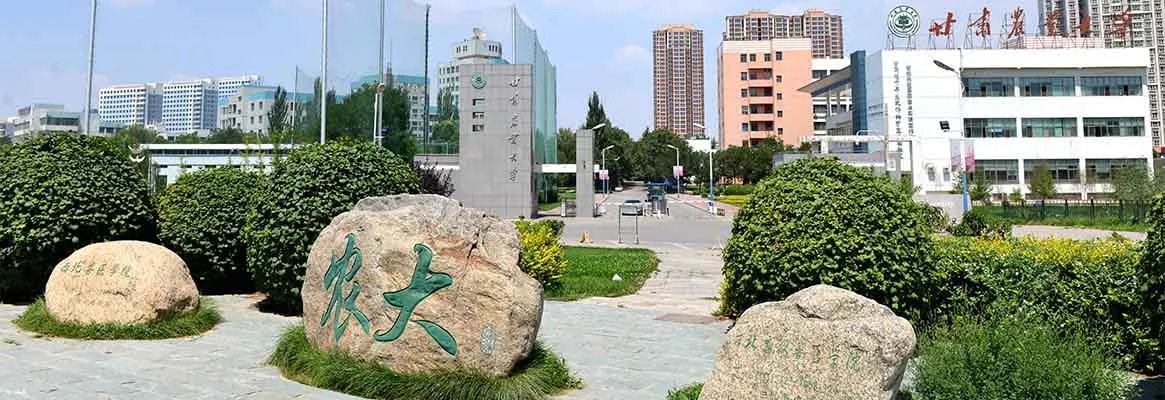 Ганьсуский сельскохозяйственный университет — фото 6