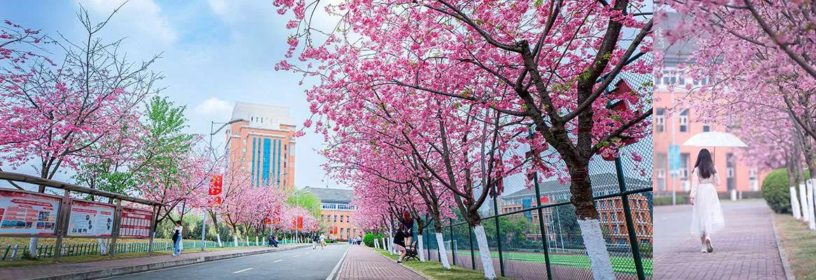 Сычуаньский профессиональный колледж культурных индустрий — фото 5